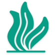 Algae icon