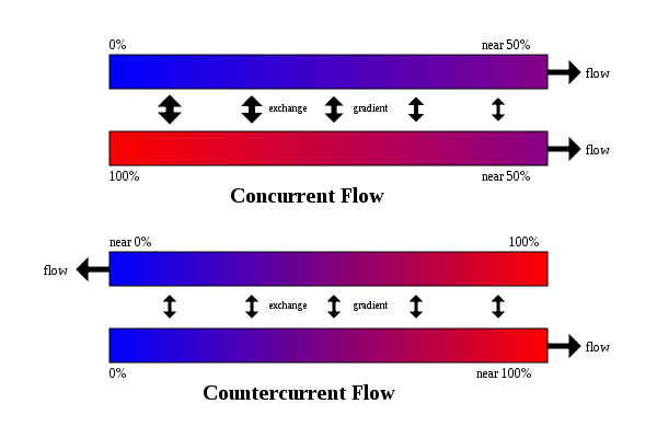 Counter Current Flow